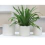 product-275517-1789660461-ACC01-0000144^2